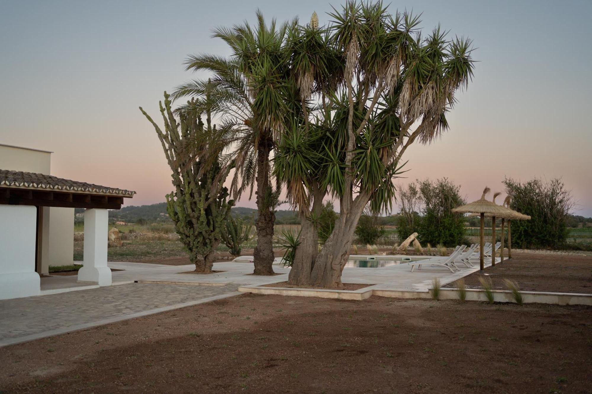 סון מאסיה Vino Resort Son Amaret מראה חיצוני תמונה