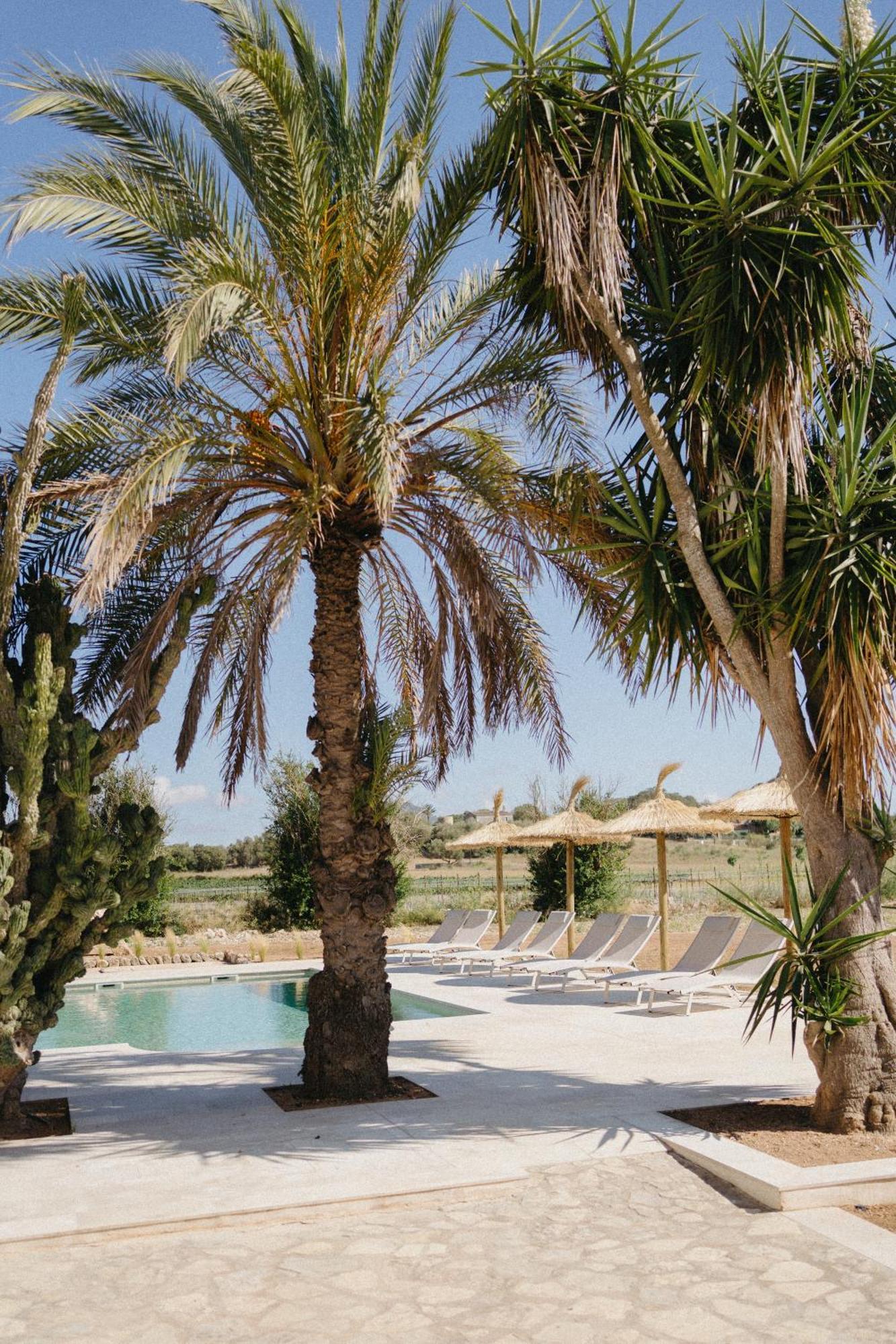 סון מאסיה Vino Resort Son Amaret מראה חיצוני תמונה