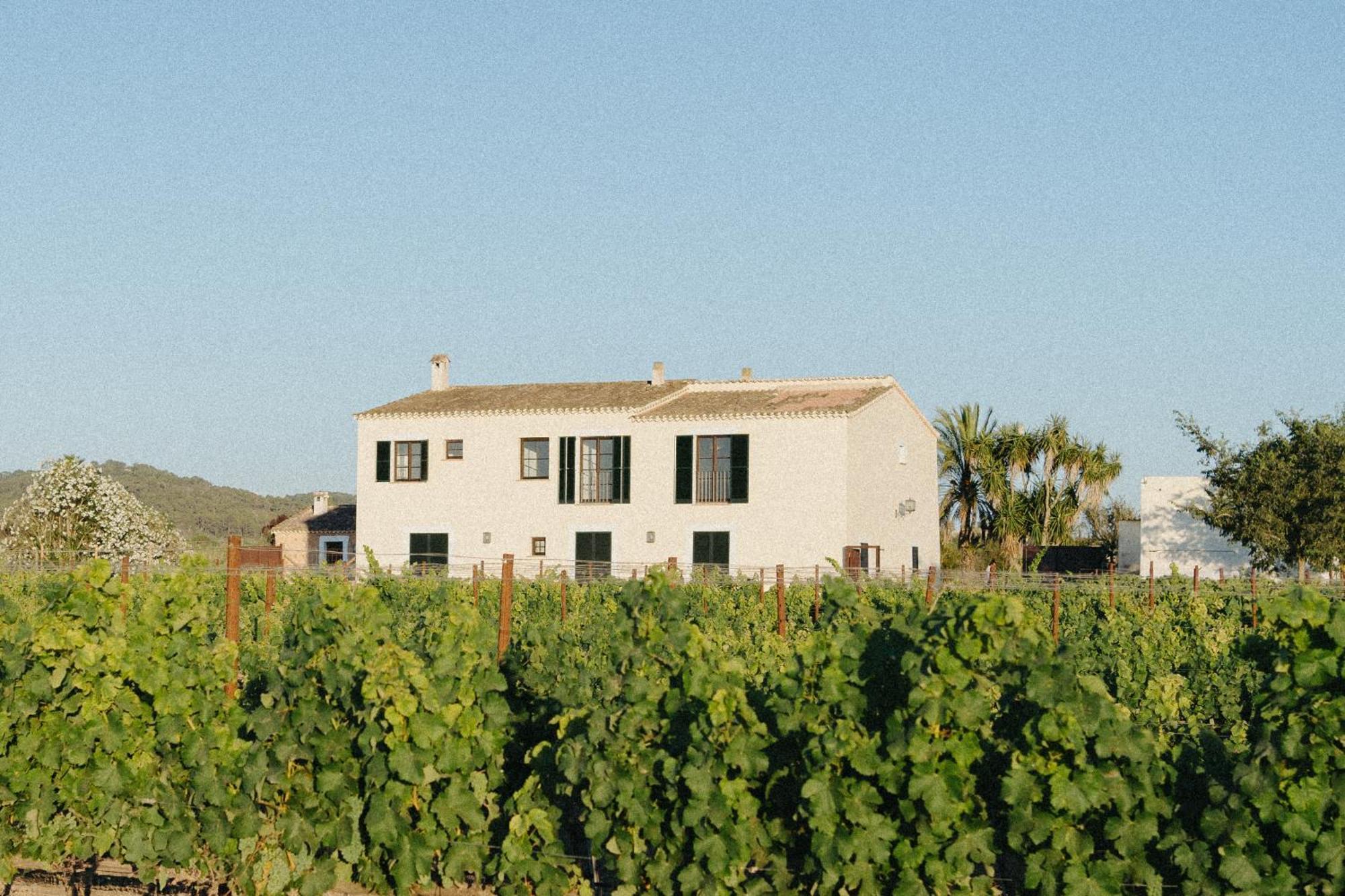 סון מאסיה Vino Resort Son Amaret מראה חיצוני תמונה